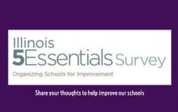 5Essentials Survey